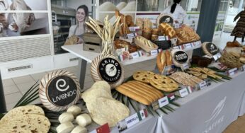 Lesaffre a organisé sa première Family Day